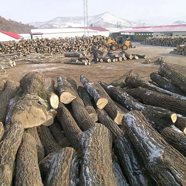 Oak from Russia, pallet sawn timber