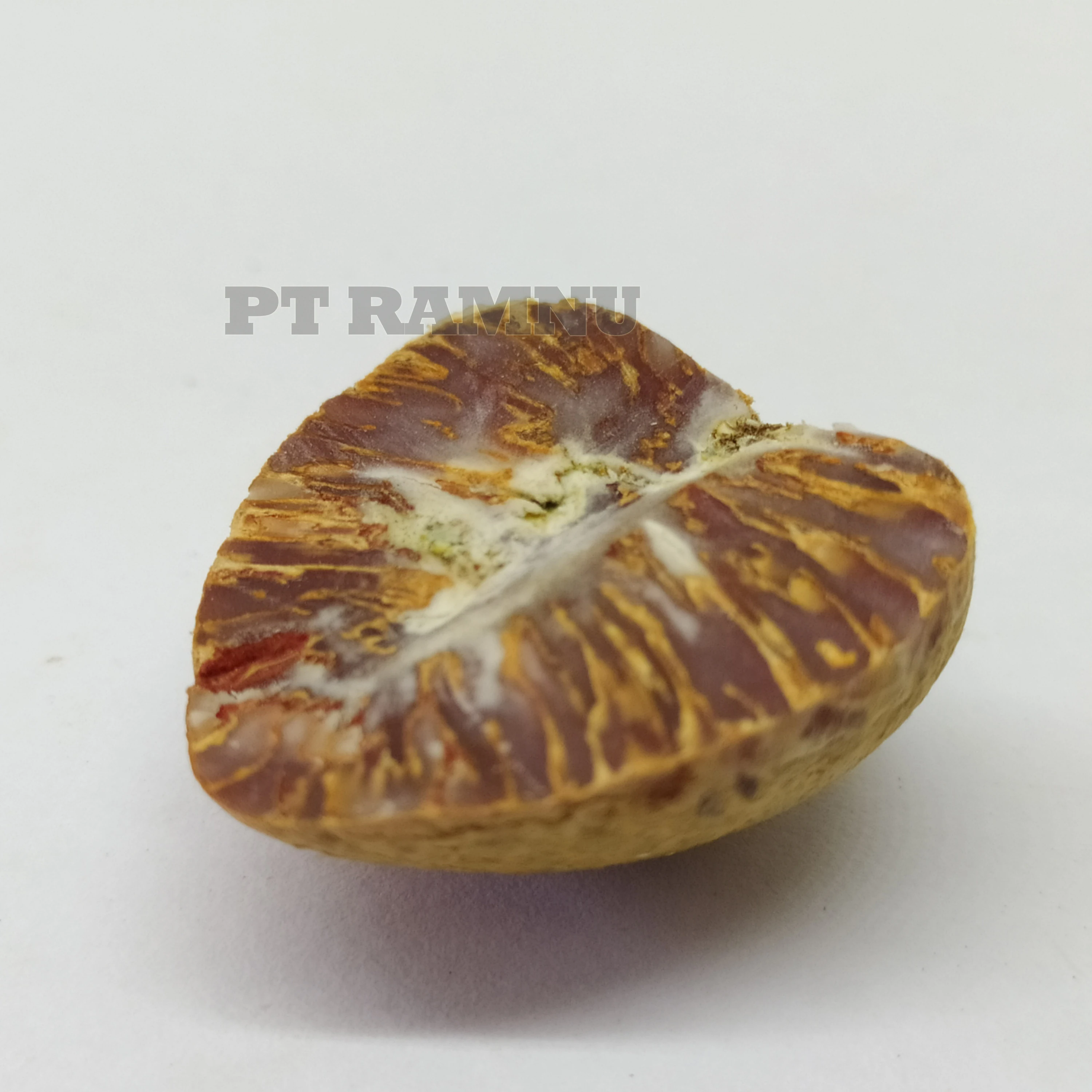 
Betel Nut High Quality from Indonesia 