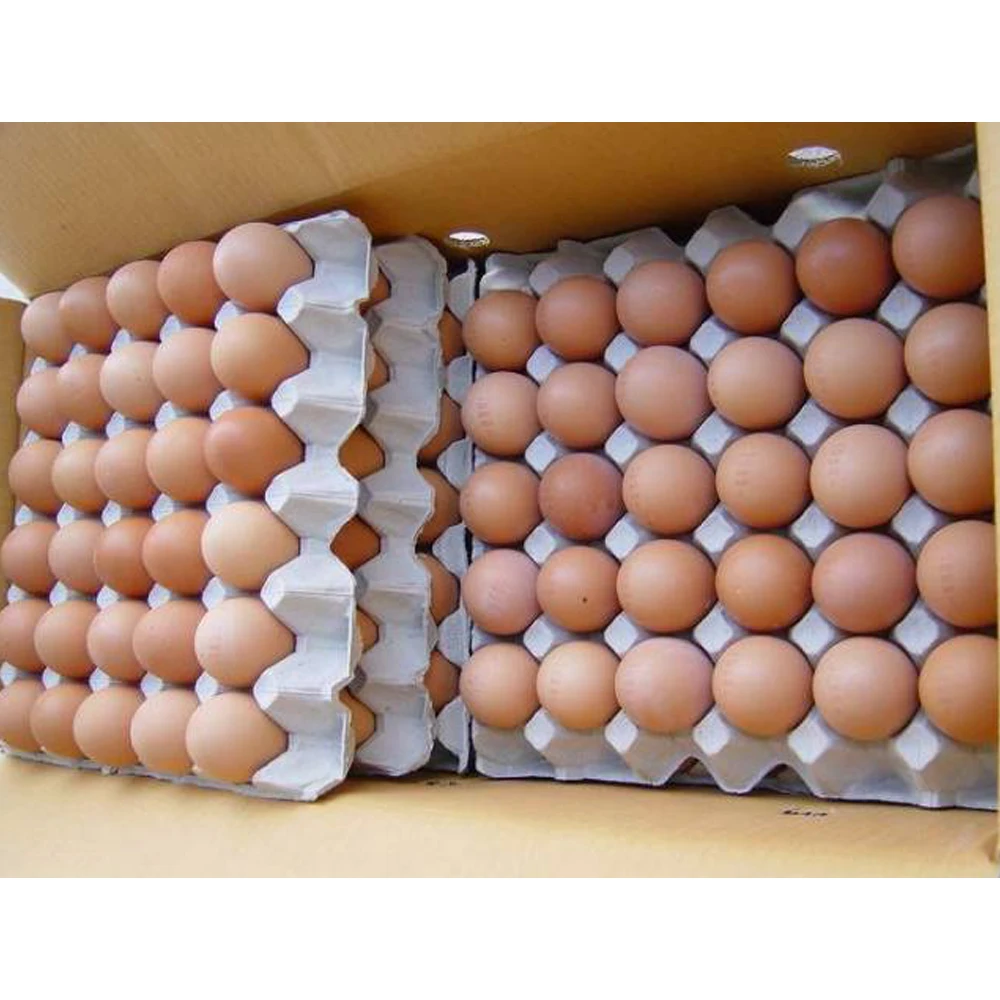 White and Brown Chicken Eggs Fresh Table Eggs
