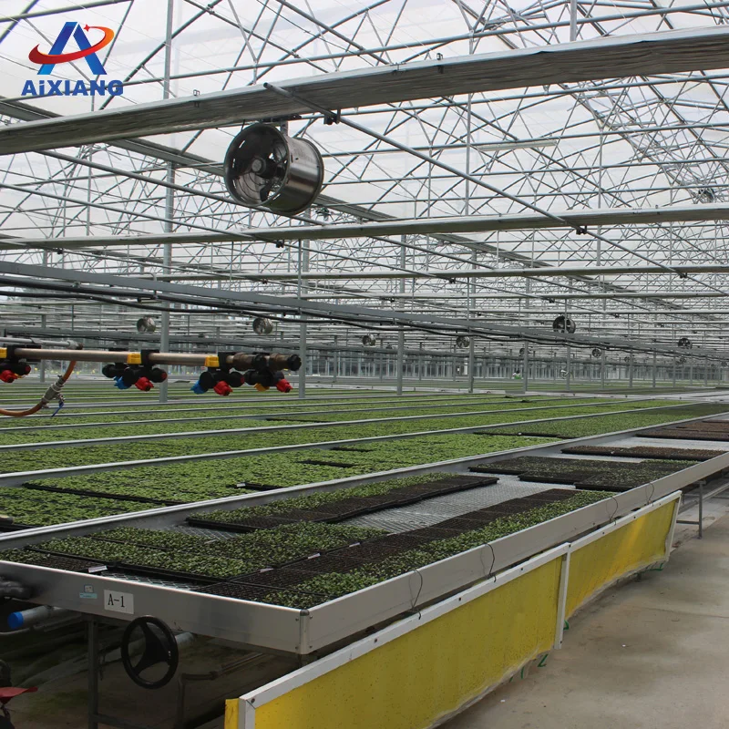 
Hot sale commercial glass greenhouse shade green house for plants/vegetable/flowers 