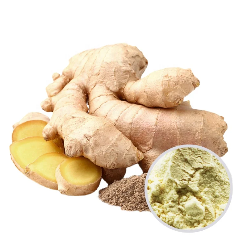 Chinese High Quality Water Soluble Yellow Ginger root plant Extract Powder