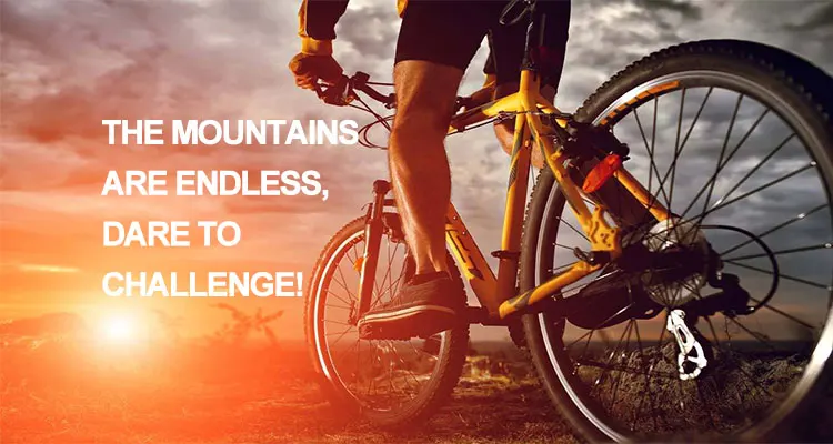 Hot Sale Bicycle Parts Dh908Tf 15*110Mm  2 Bike Bearing Hubs Solon Bike Wheels Hubs