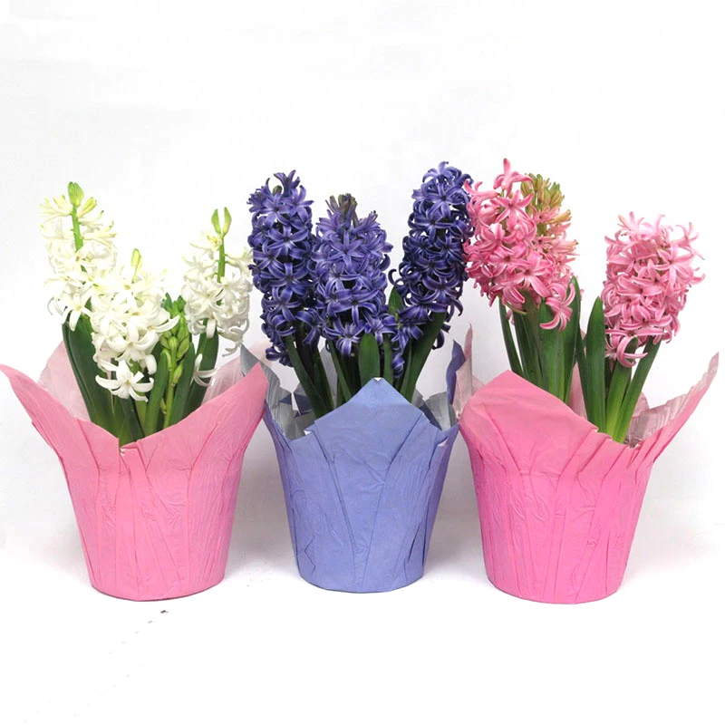 Customization Kraft Paper Flower Pot Cover High Quality Unique Style Indoor Paper Plant Flowers Pot Covers