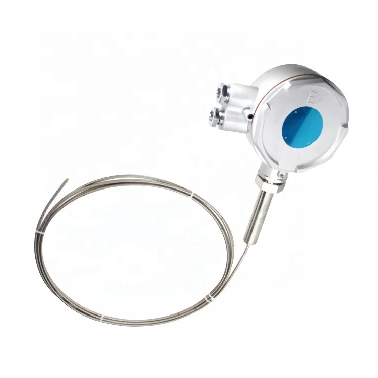 Multi point type explosion-proof thermocouple 56 points armored temperature sensor PT100