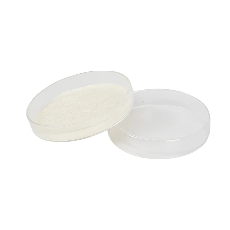 
oem factory price BRC/HALAL ISO 20% schizochytrium microalgae dha algae powder 