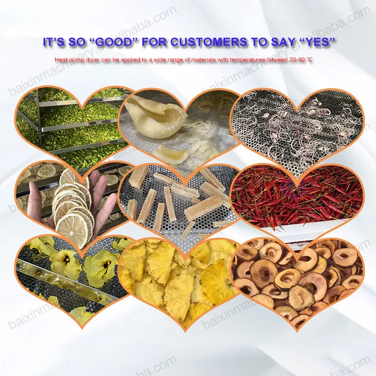 Commercial Herb  Drying Cabinet/Industrial Vegetable Dryer/ Cabbage Dehydrator