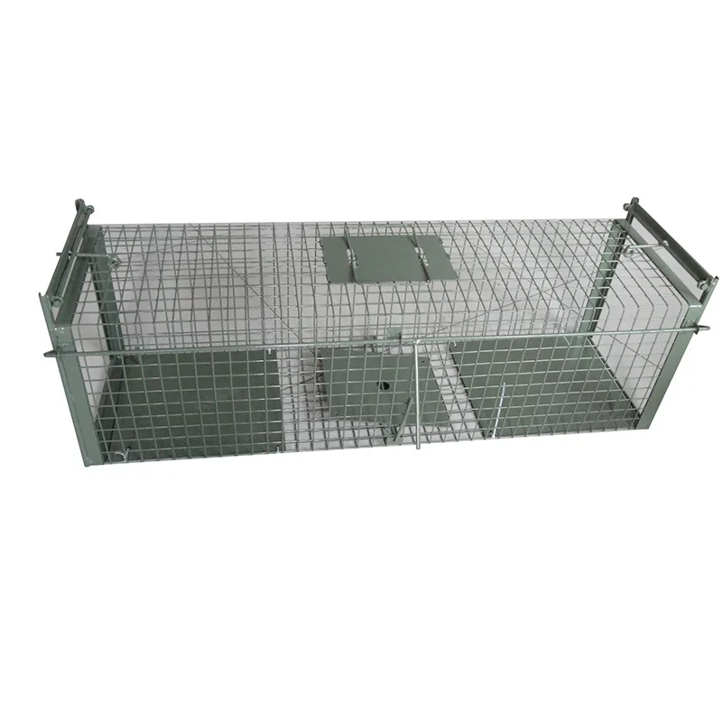 Pest Control Large Wild Animal Coyote Raccoon Live Trap Weasel Squirrel Possum Rat Humane Rabbit Dog Fox Cage Cat Animal Trap