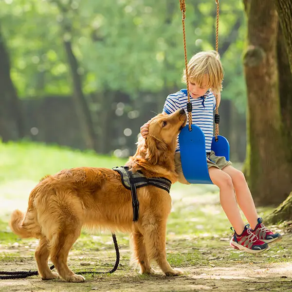 Портативные 50ft Детские ниндзя накладные линии с препятствиями для детей