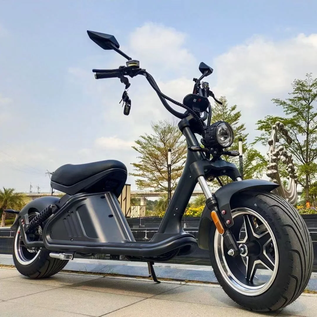 EU warehouse electric scooters big battery capacity double lithium battery 40ah 2000w electric motorcycles citycoco manufacturer