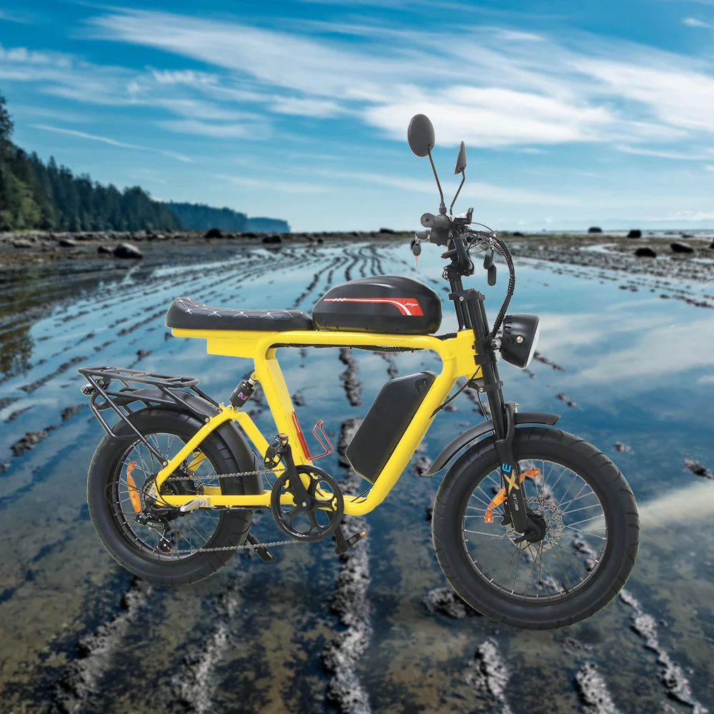 1000W Fat Tire Ebike 48V Electric Bike Dual Motor 7Speed Lithium Battery Electric Bicycle 20 Steel Frame Electric Mountain Bike