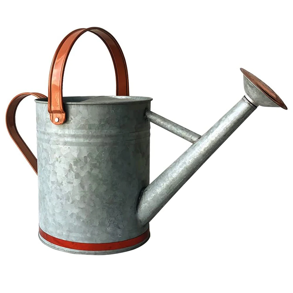 Garden supplies 3.8L water sprinkler head galvanized watering can for garden