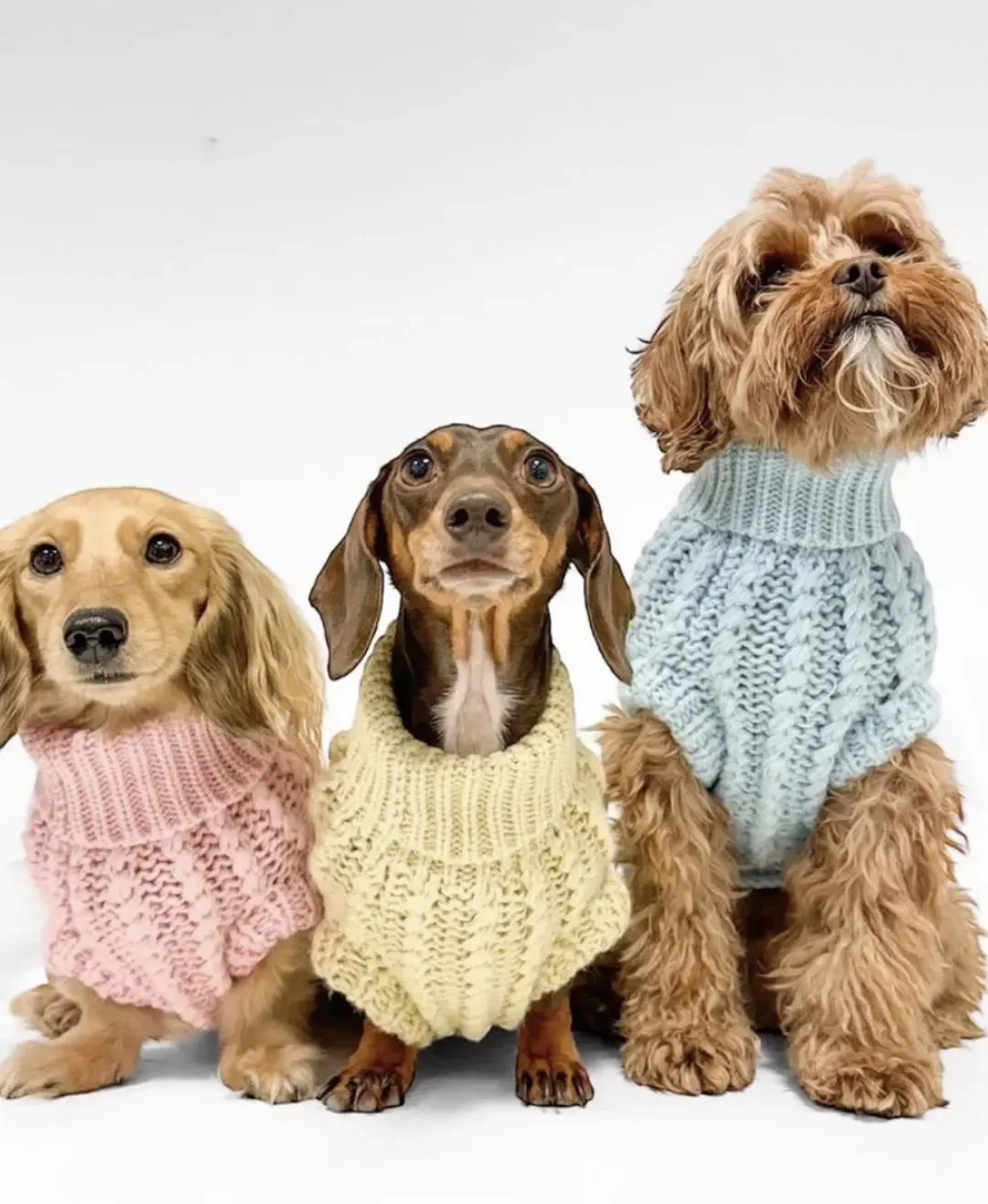 2024 Newly Launched Christmas Fluffy Warm Pet Clothes Custom Design with Fabric that is Pet-Friendly