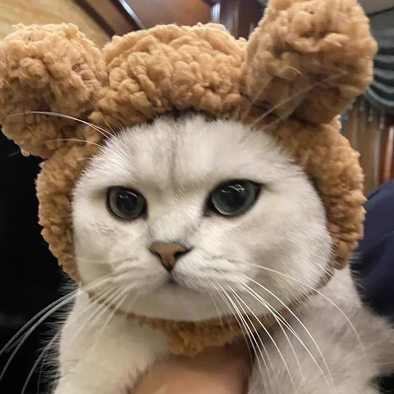 Wholesale Adjustable Plush Soft Pet Headwear Dress up Bear Hats Cute Cat and Dog Clothing Warm