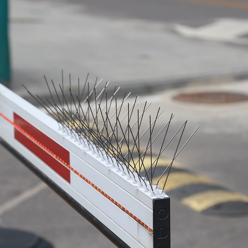 Bird Spikes Pigeon Spike Transparent Stainless Steel Anti Bird 20 Spikes for Animal Control Use Color Box Packing Hot Sales 13cm