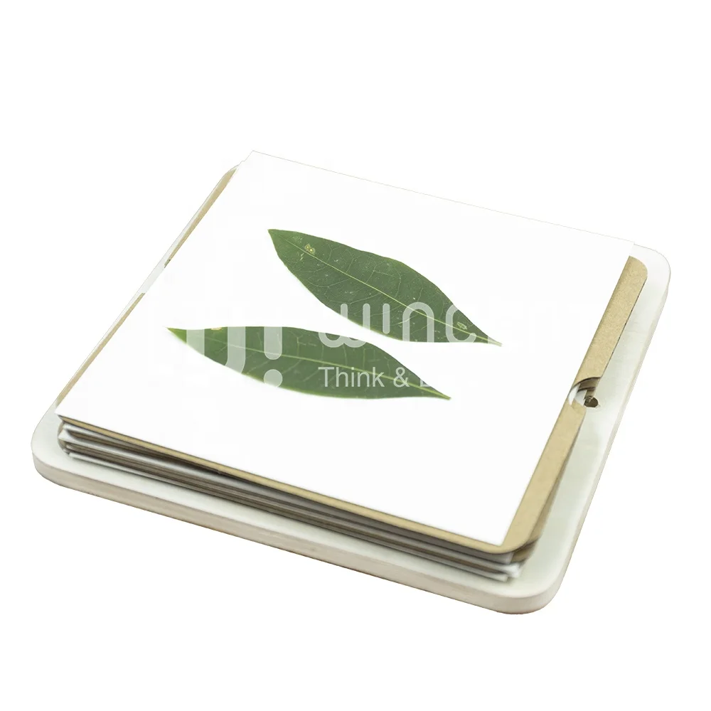 New Educational Toy Kit Plants And Flowers Specimen Making and Saving Kit Kids Science Experimental Toy