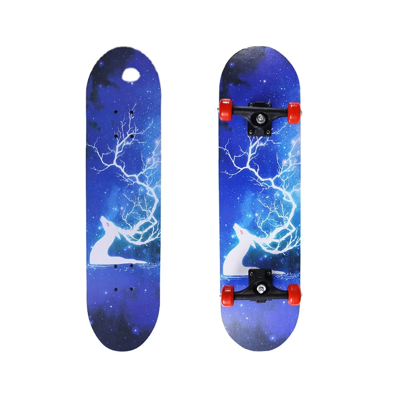 Most Popular Maple Skateboards for Adults Professional 4 Wheels Skateboard Longboard