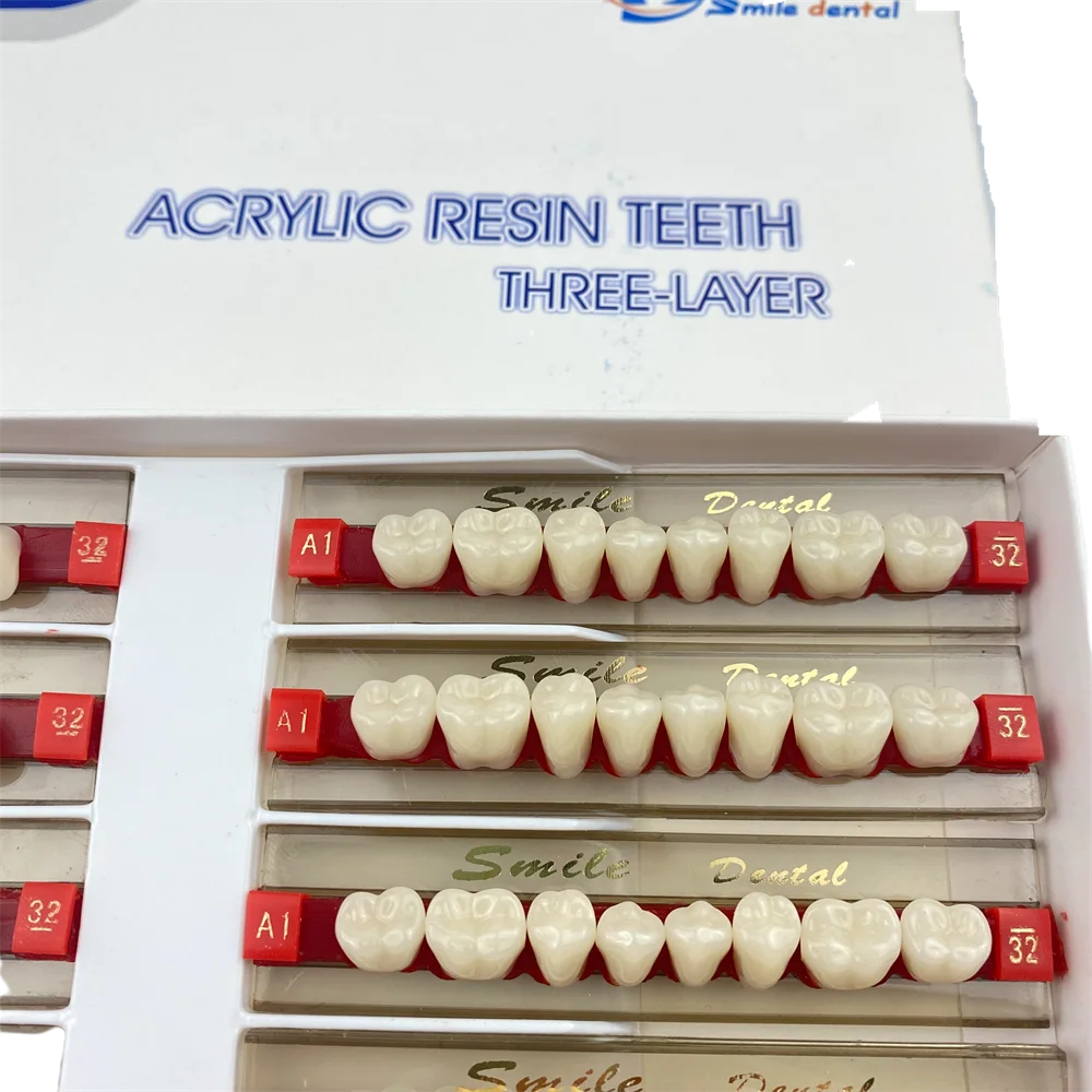 Dental Posteriors Teeth Artificial Acrylic Resin Teeth 3-Layer False Teeth