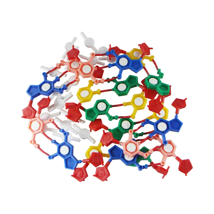 Professional Chemistry Molecular Structure Model For teaching