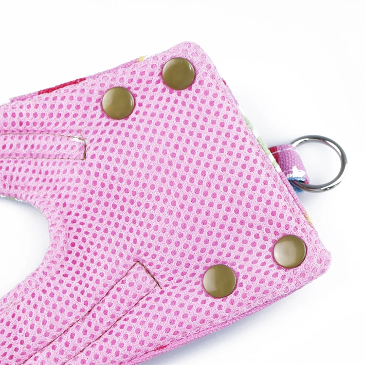 Manufacturer Wholesale Outdoor Adjustable Custom Dog Leash and Harness Set