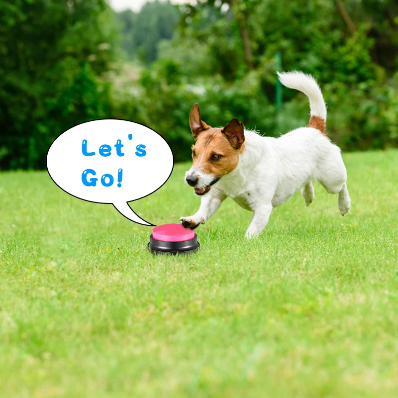 Recording Function dog training speaking buttons Dog buttons Recordable Buttons talk Communication Training Buzzers