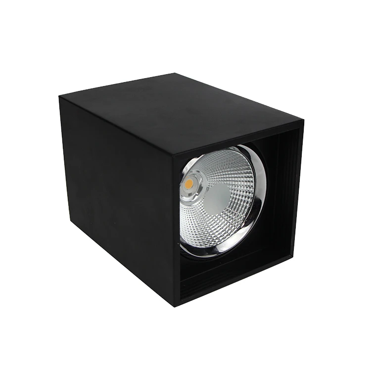 Zhongshan OEPE LED Down Light Black/White Square Shape Surface Mounted Led Cob12W Down Light factory wholesale housing