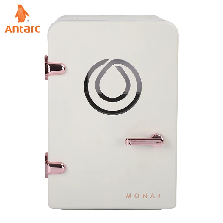 Low noise 6L breast milk medical fruit skin care products mini car fridge