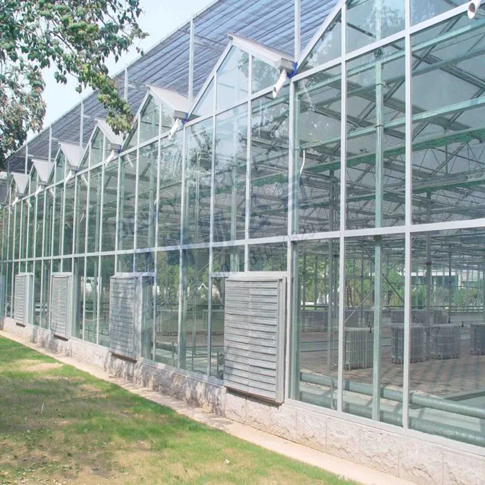 
Factory Sale Various Agricultural Tunnel Greenhouse Commercial Garden Greenhouse Flower House 