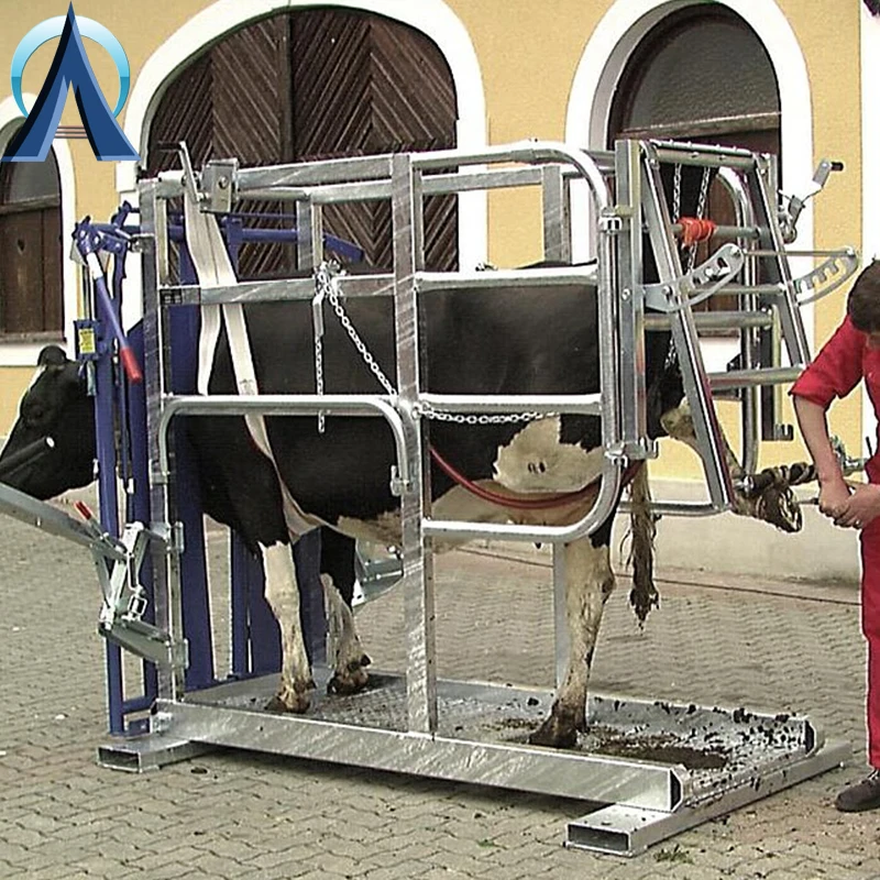 High Quality Farm Equipment Hot DIP Galvanized Epidemic Prevention Hoof Trimming Cattle Equipment Cattle Hoof Trimming