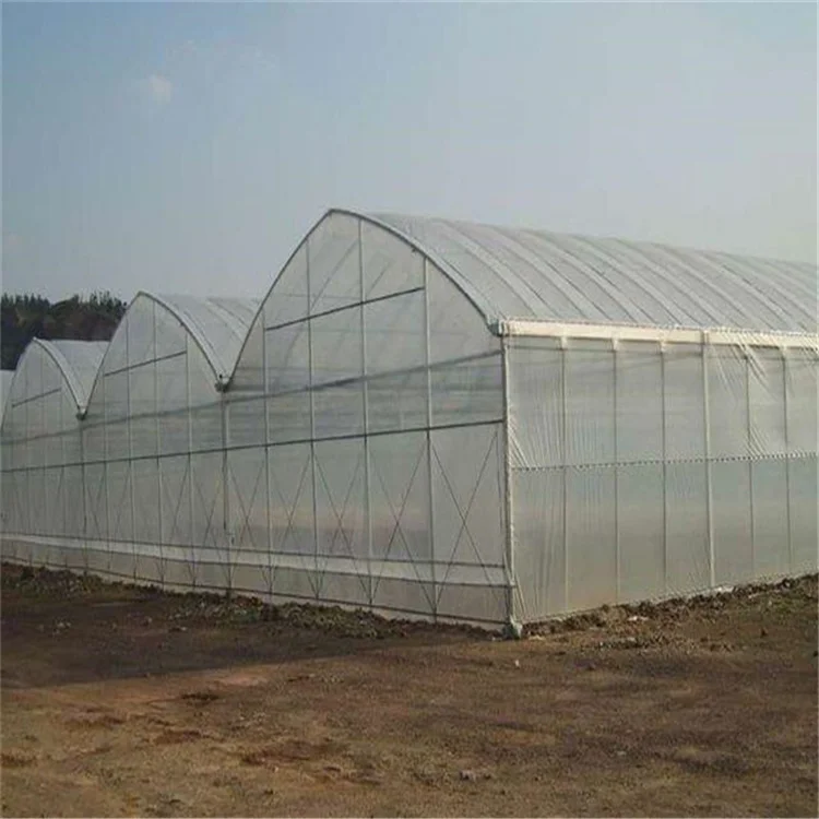 146.jpg