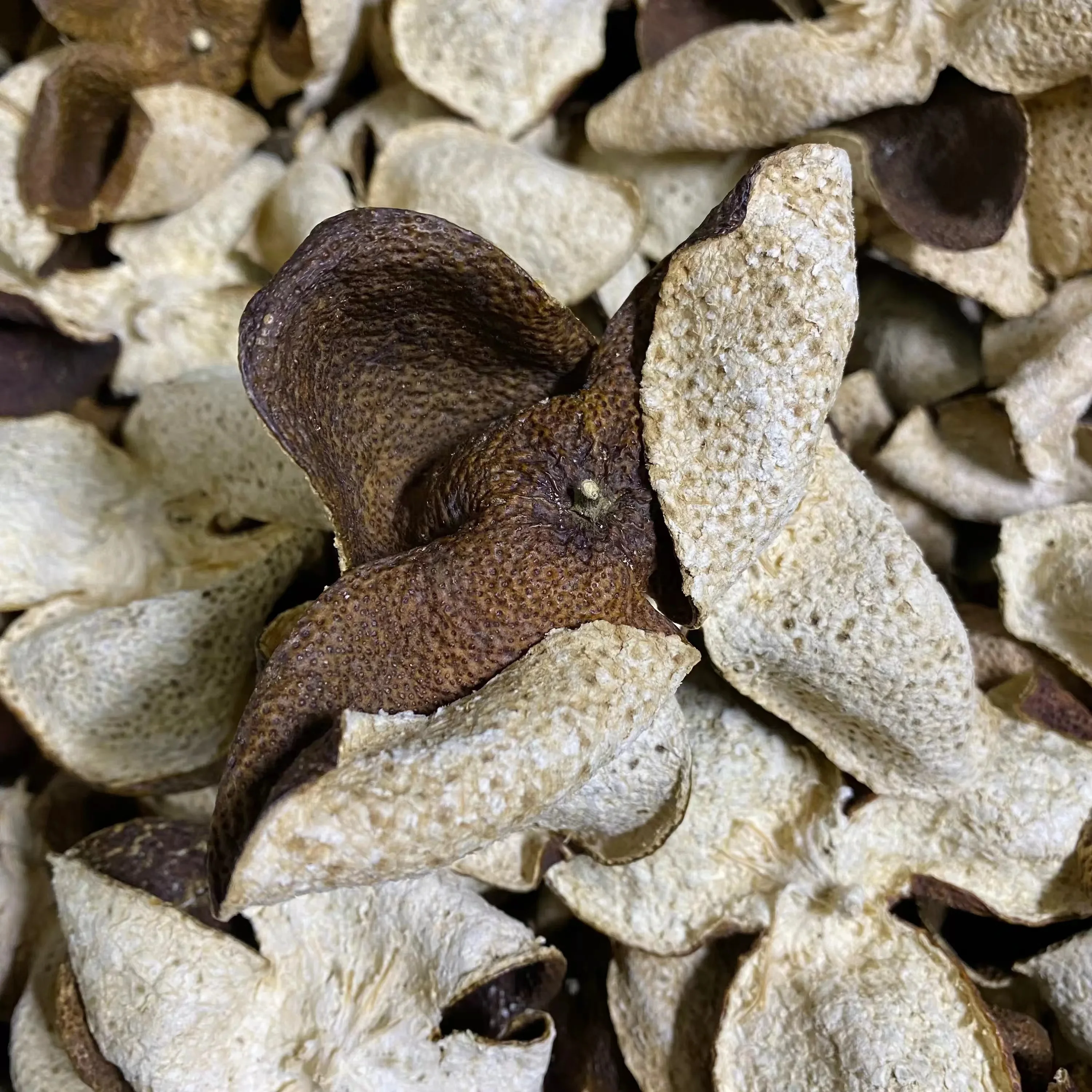 Популярные товары Pericarpium Citri Reticulatae по низкой цене оптовая продажа сушеных мандариновых кожуров с заводской розеткой
