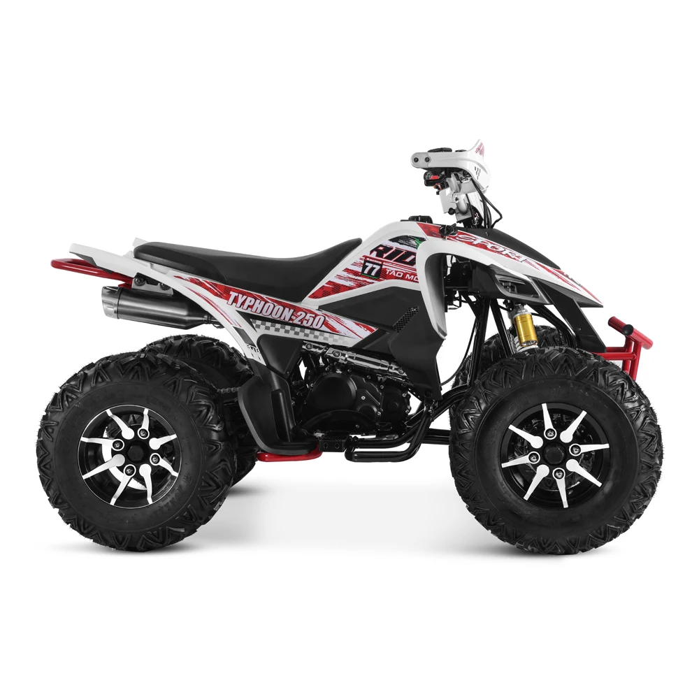 Tao Motor 2024 New Cuatrimoto Manual Gear 250cc 4x4 ATV Automatic Electric Start Alloy Rim Moto Tvs 125 Chain Drive Adult Size