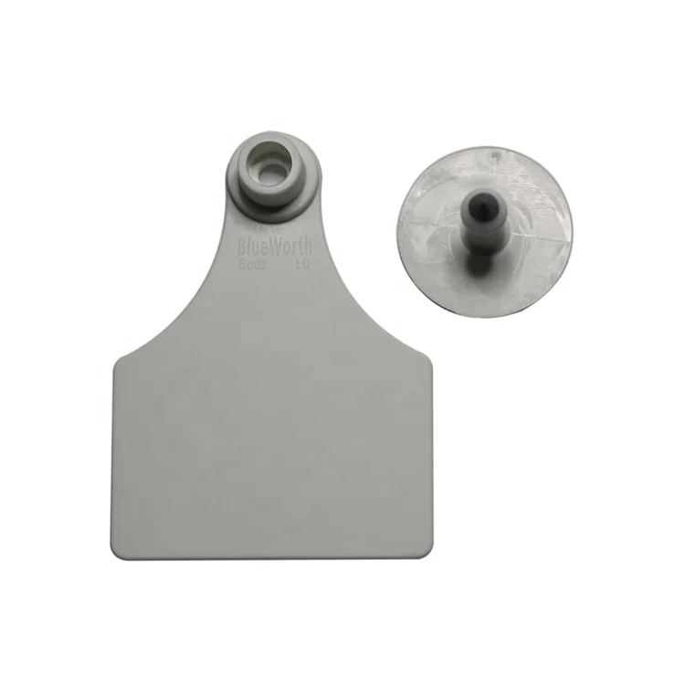 Orange Cow Cattle Blank Large Ear Tag Pack of 100 Pcs with Botton