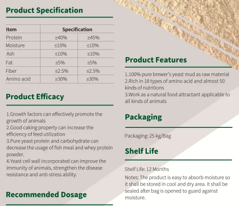 Brewer Yeast Powder China Golder Supplier