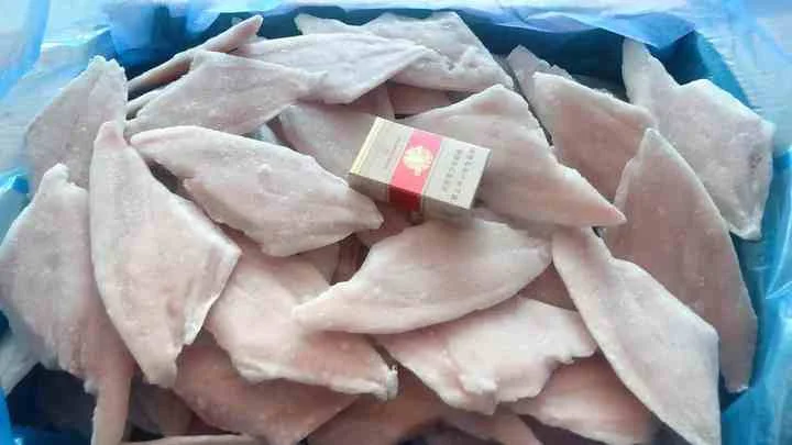 Frozen Brama Fillet With Skinless