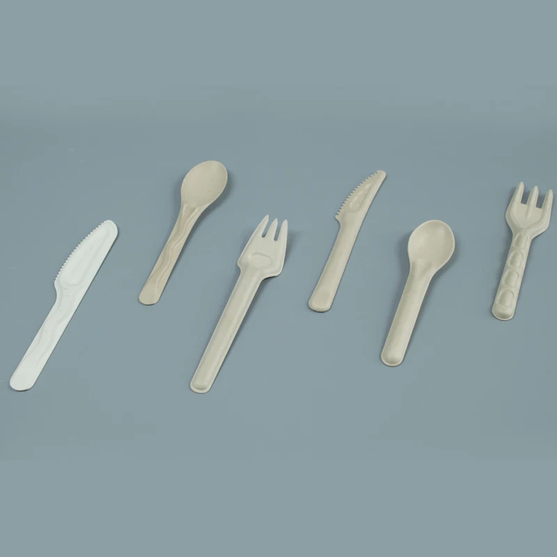 Biodegradable Disposable Sugarcane Pulp White edible cutlery bagasse paper knife fork spoon
