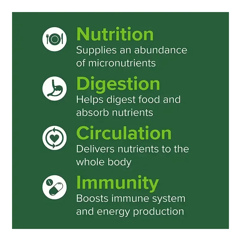 Free Sample Superfood Plus Superfood Green Protein Powder Organic mass gainer protein powder