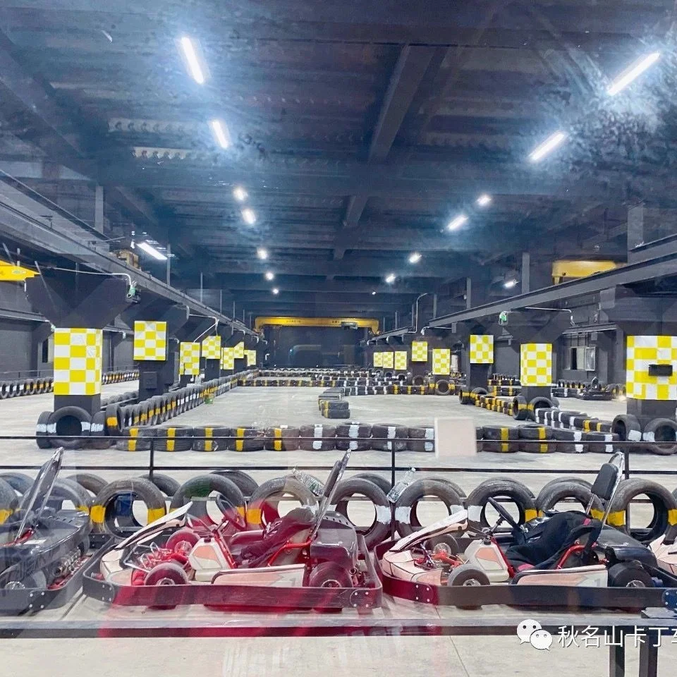 Factory price Cheap 4 Stroke High Speed Adult 250cc go kart sale