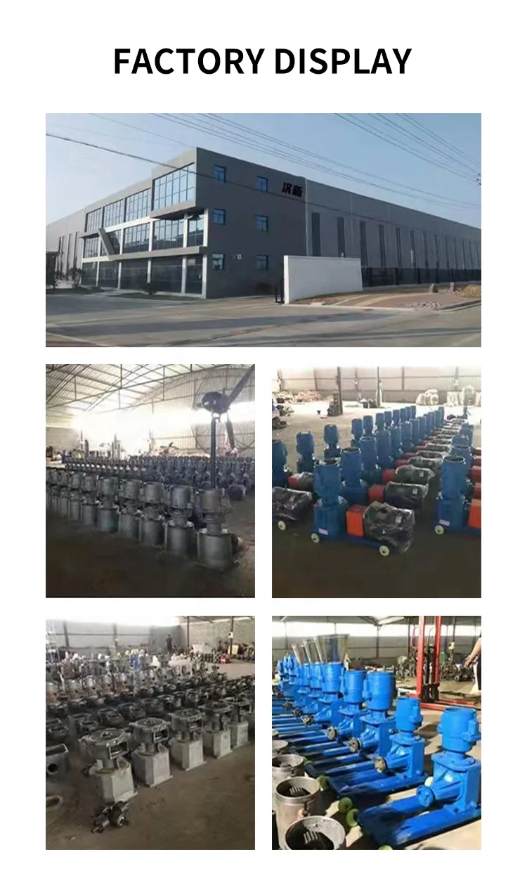 Animal and Poultry Feed Manufacturing Mill Machine Chickens Ducks Geese Food Pelletizer Mini Pellet Making Machine