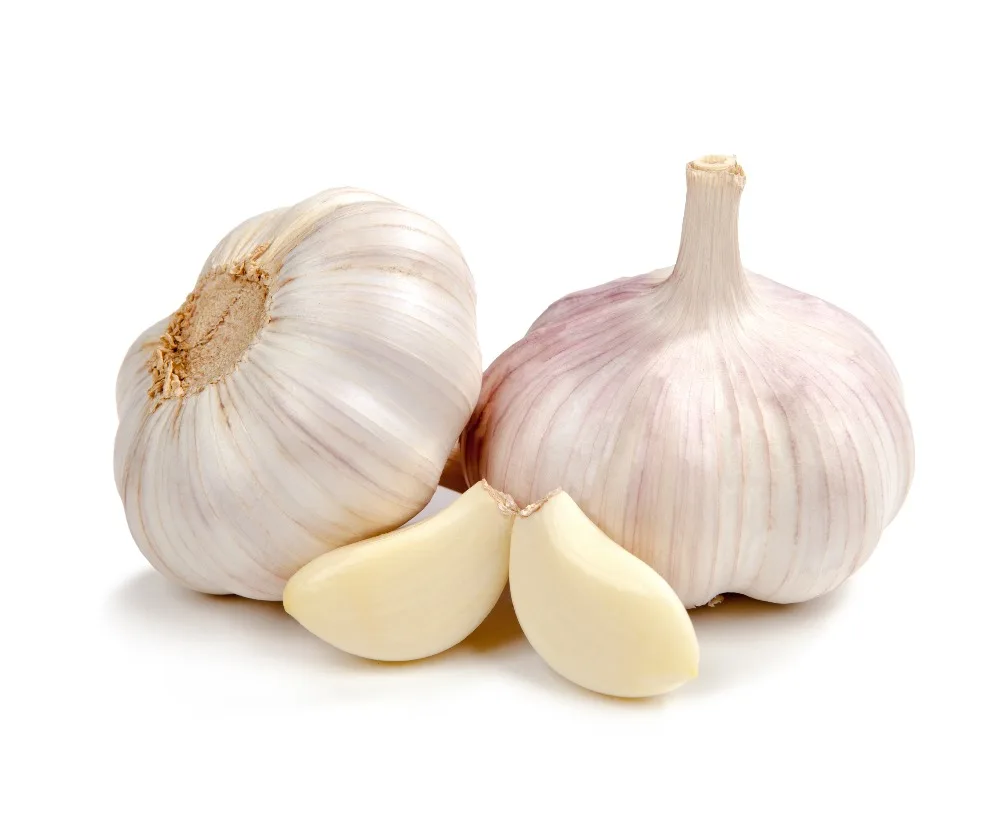 2022 China New Crop Fresh Garlic Seeds / garlic manufacturers in china