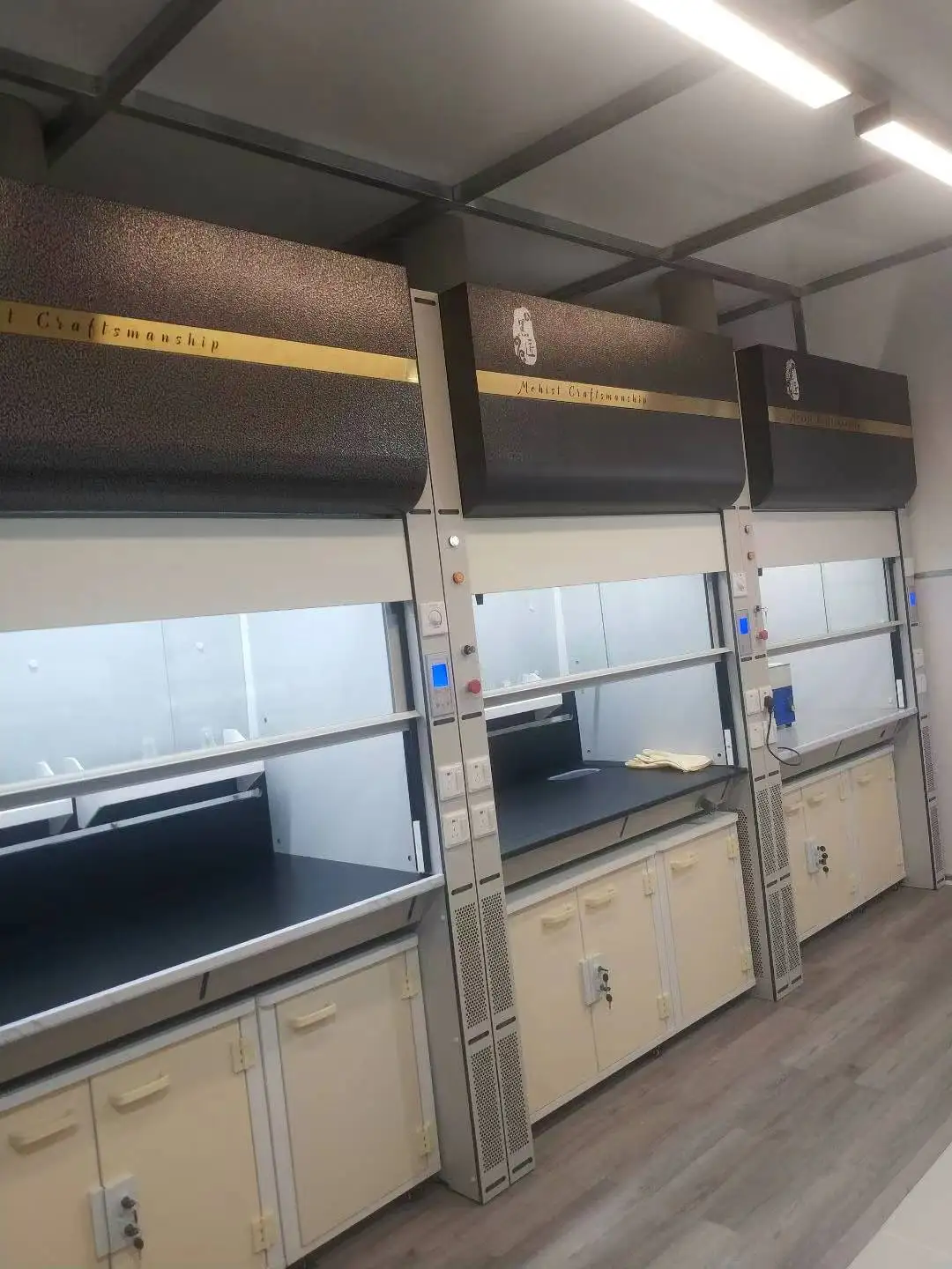 Acid & Alkali Resistant Fireproof Explosion Proof Chemical Lab Fume Cupboard Heat Resistant
