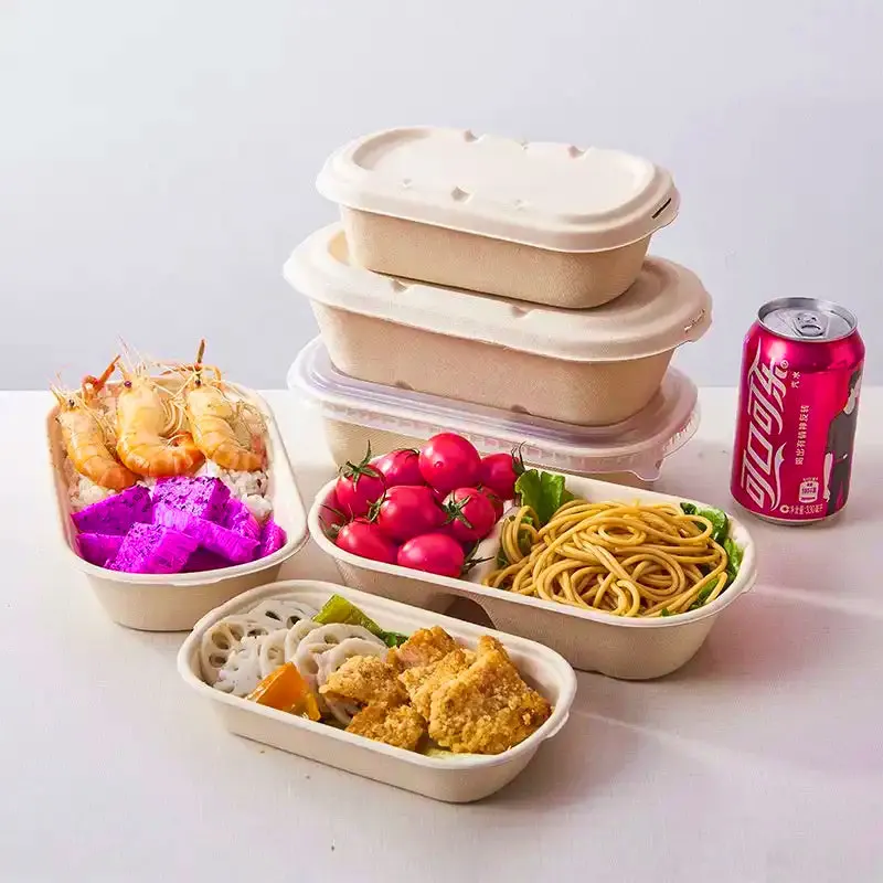 Biodegradable Bamboo Food Tray Disposable Takeaway Lunch Box with Compostable Lid for Parties and Food Containment