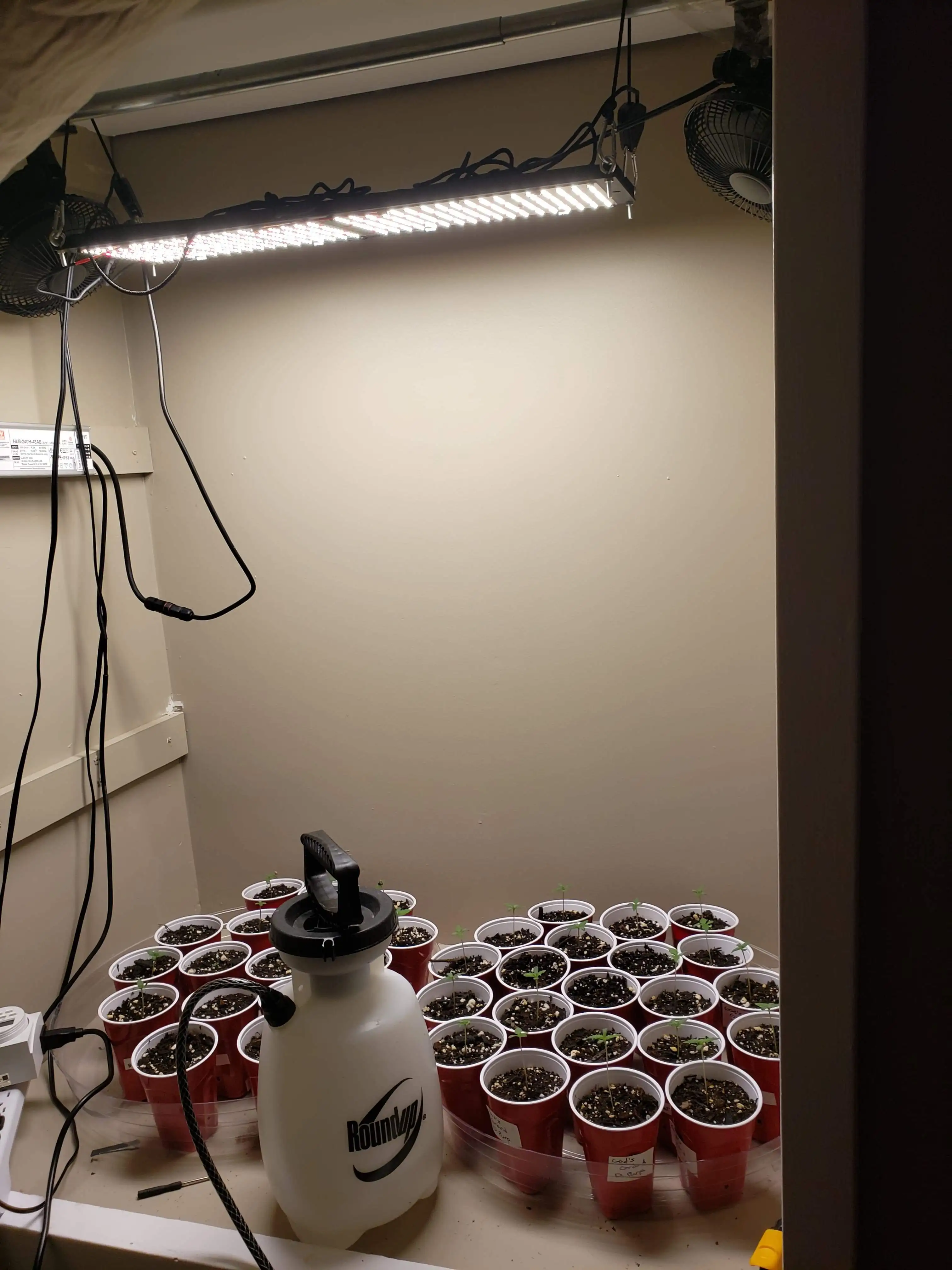 Newest All S FOLUX Board Rita Fang Samsung 301H Light Kit, Meijiu 240W MEIJIU QB288 V3 Lm301h 660Nm 730Nm Uv Led Grow Light