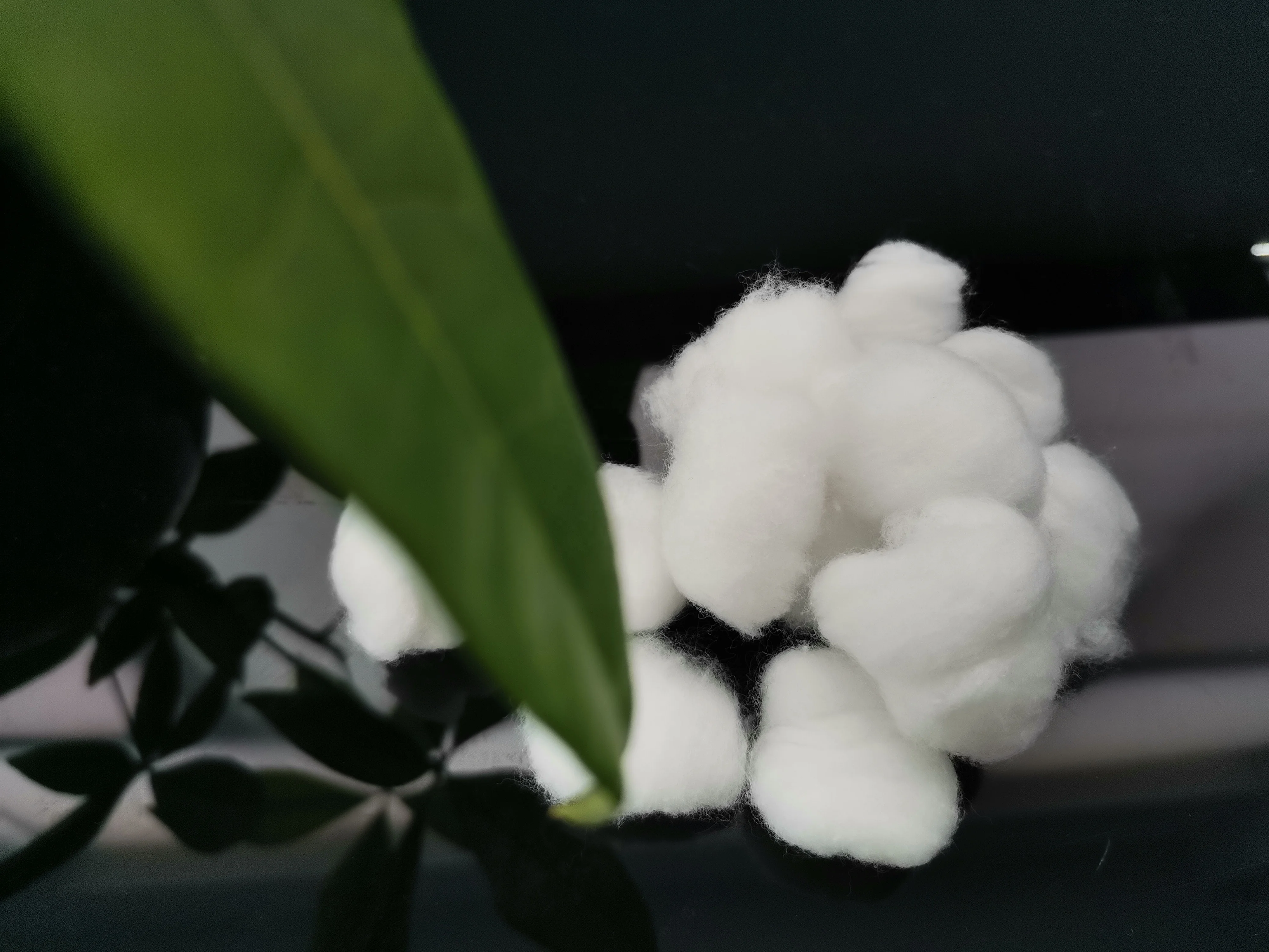 Organic Sterile Cotton Ball Custom logo Cotton Dryer Ball