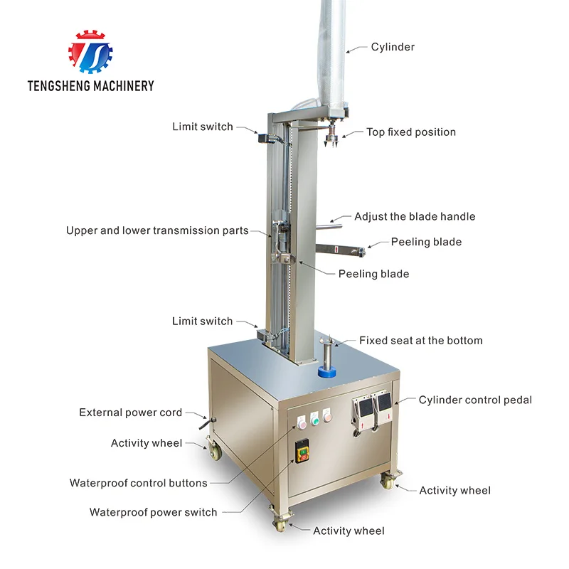 TS-P80 Stainless steel papaya peeling machine/Pumpkin peeler machine for sale