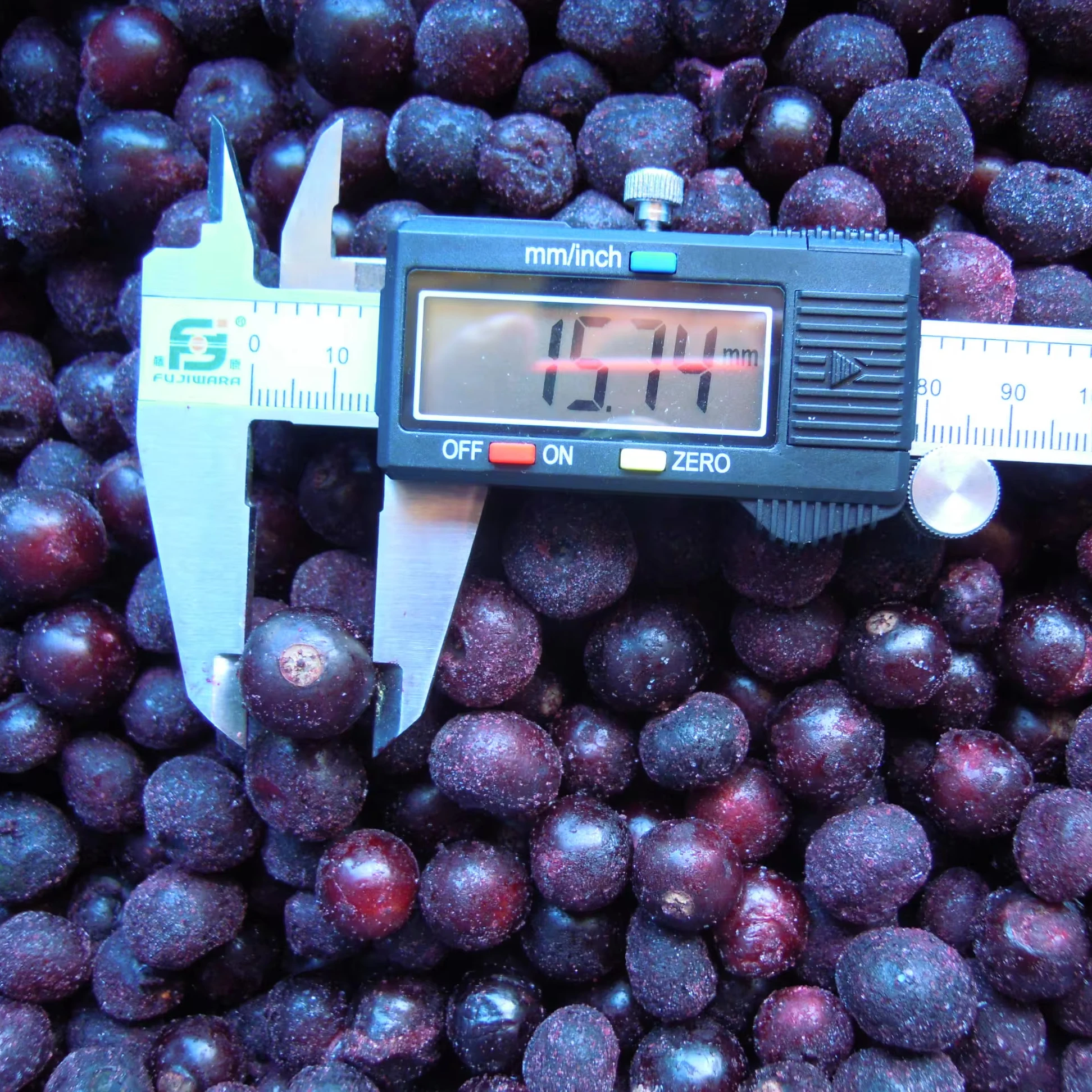 IQF Organic Frozen fresh real good Black Currant Blackcurrant red raspberry Unsweetened Freeze Freezing Bulk Wholesale for sale