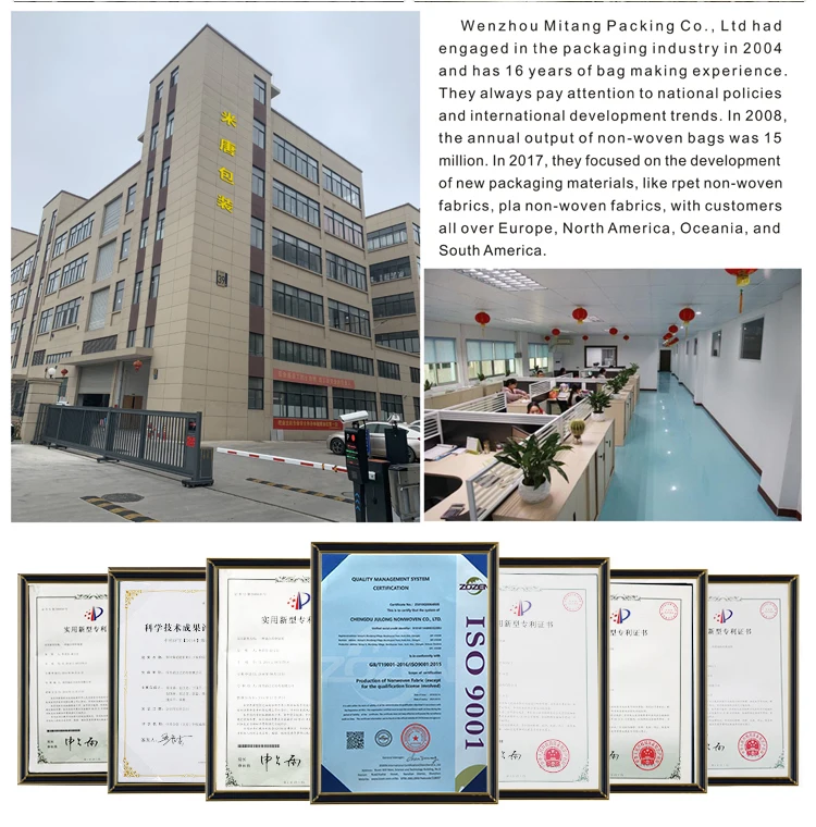 LOW MOQ Cheap Price Promotional Customized Colors Eco Tote Pla Non-Woven Shopping Bag, Recyclable PP Non Woven Bags