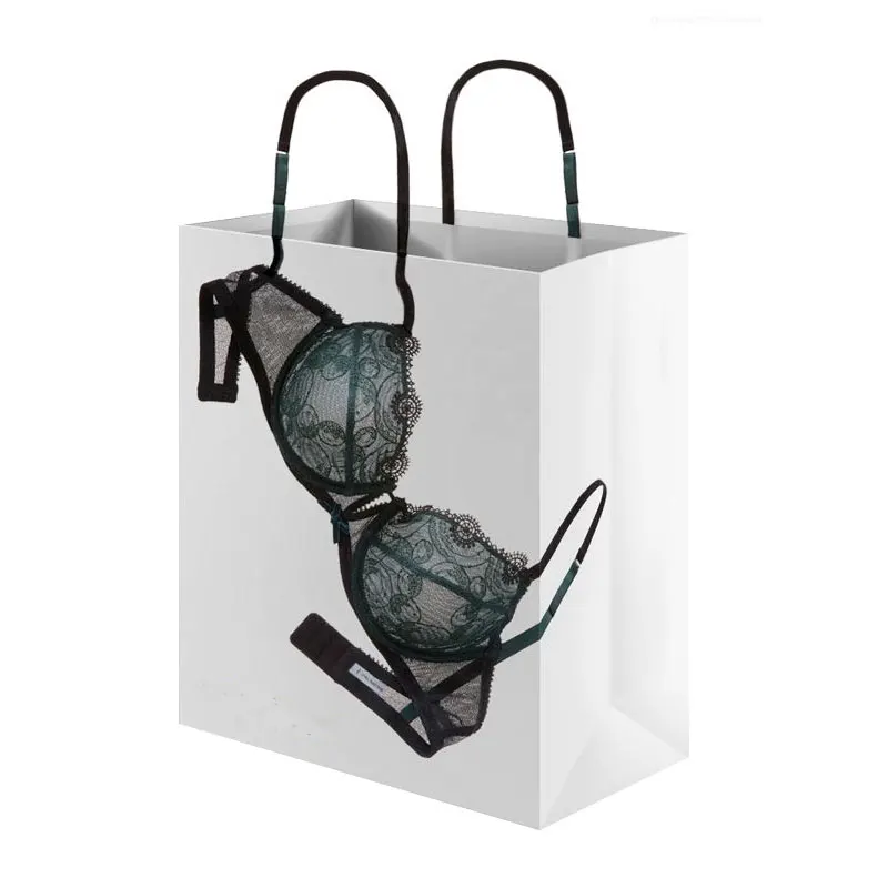 Custom Branded Paper Gift Bag Clothing Apparel Corset Lingerie Shipping Packaging Bags