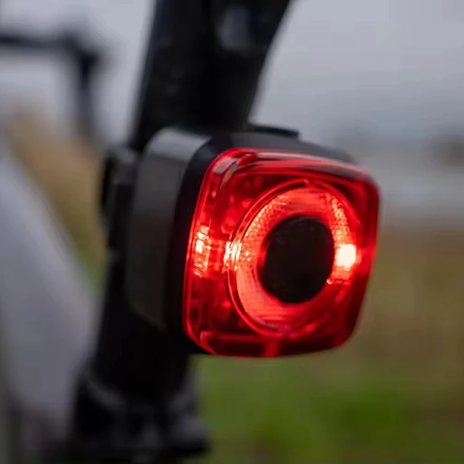 StVZO Bike Light Cheap Vehicle Security Alarm LED bicycle taillight  Adult USB Rechargeable Rear Light