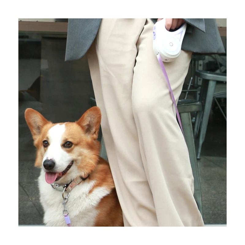 Custom color logo Amazon hot multicolor pet leash Durable automatic led pet dog puppy lead leash no led light portable