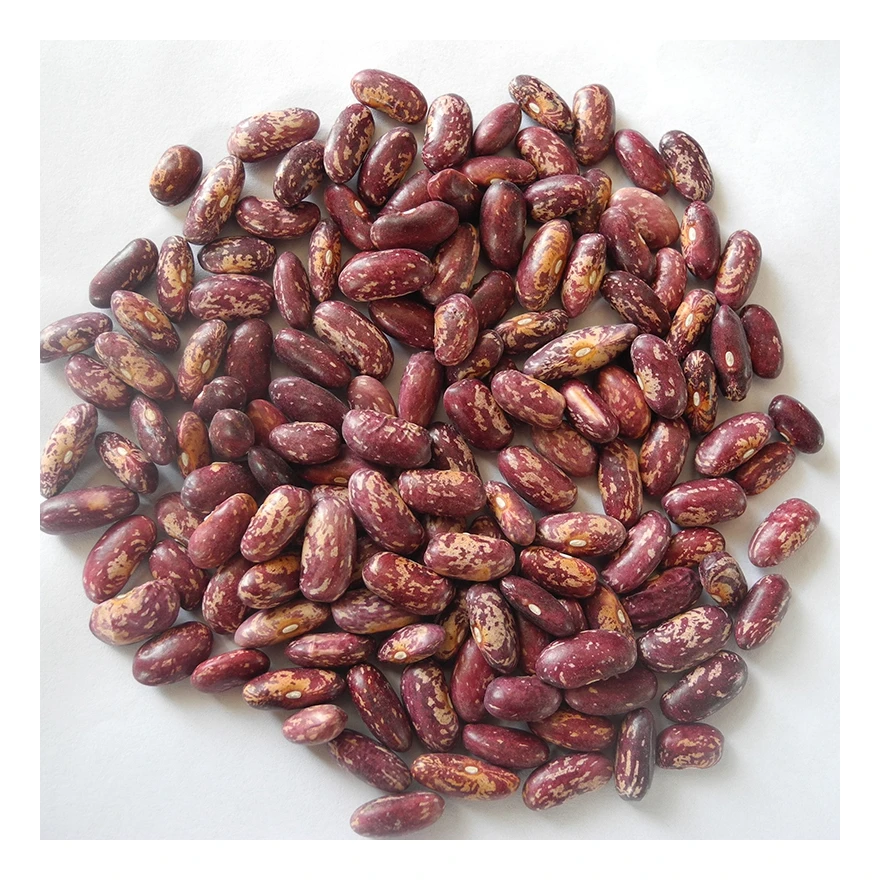 
Factory Supply Attractive Price Hot Selling Good Qualitylight Speckled Kidney Bean Beans 